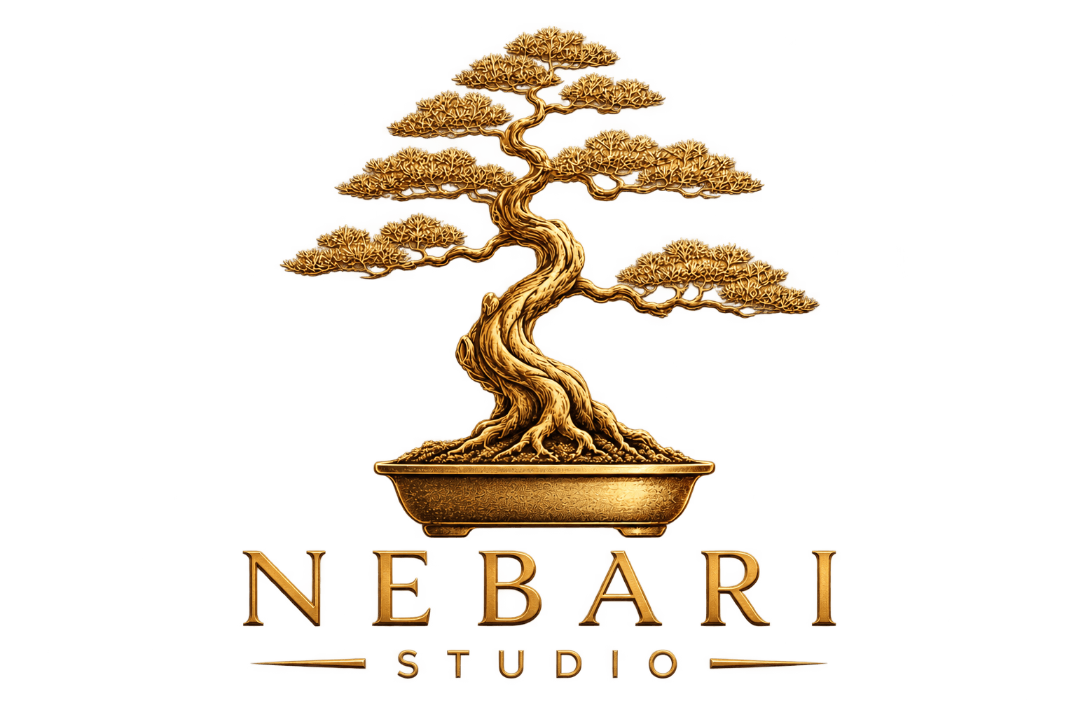 Nebari Studio